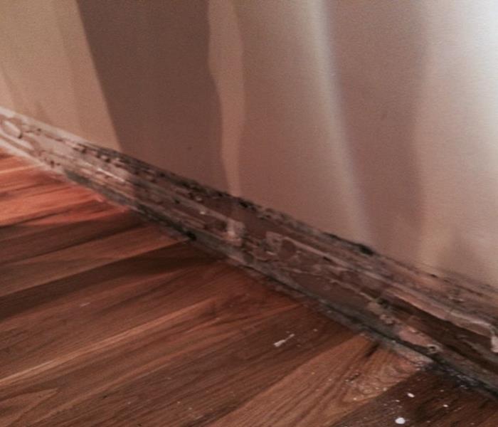 mold growth on the lower section of wall 