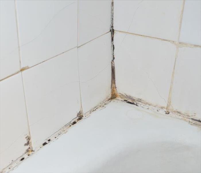 white tile with mold damage on the grout lines