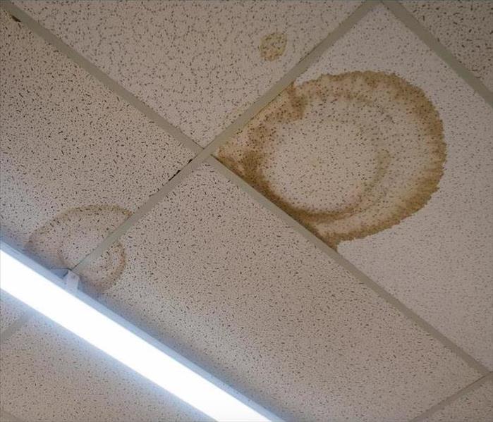 large water spots on a drop down ceiling