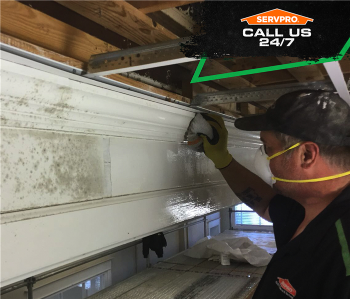 Mold on woodwork with SERVPRO tech removing mold.