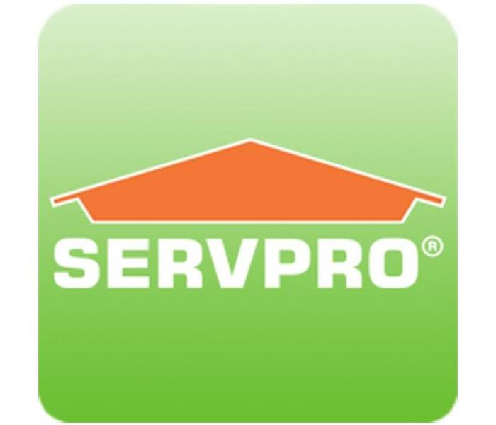 servpro logo with green background