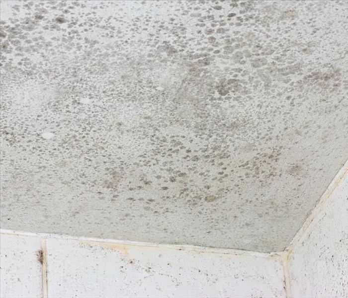 white ceiling with mold damage covering it