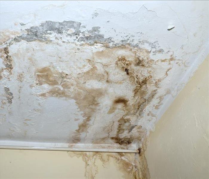 white ceiling with mold damage covering it