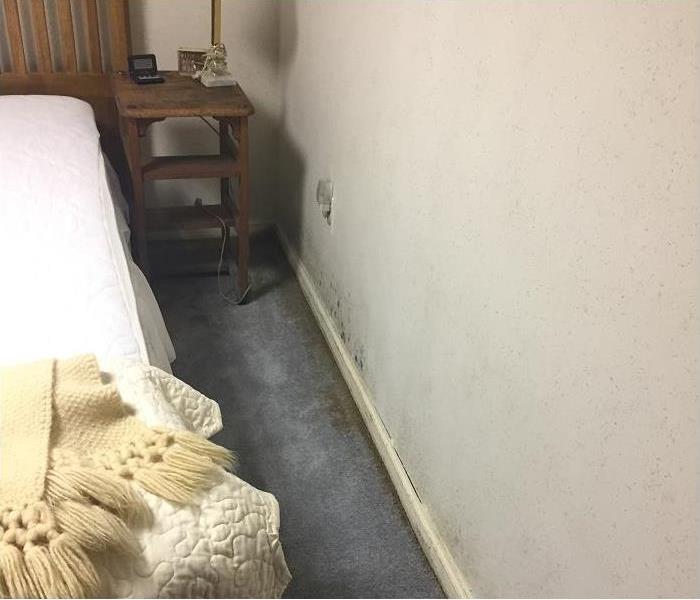 bedroom; bedding stripped from bed; mold growing on carpet and wall along baseboard