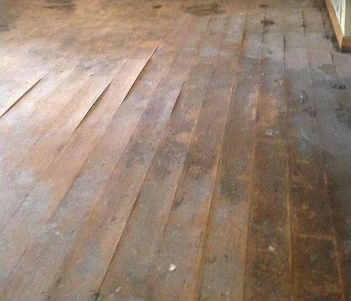 water damaged hardwood; planks cupping and warping