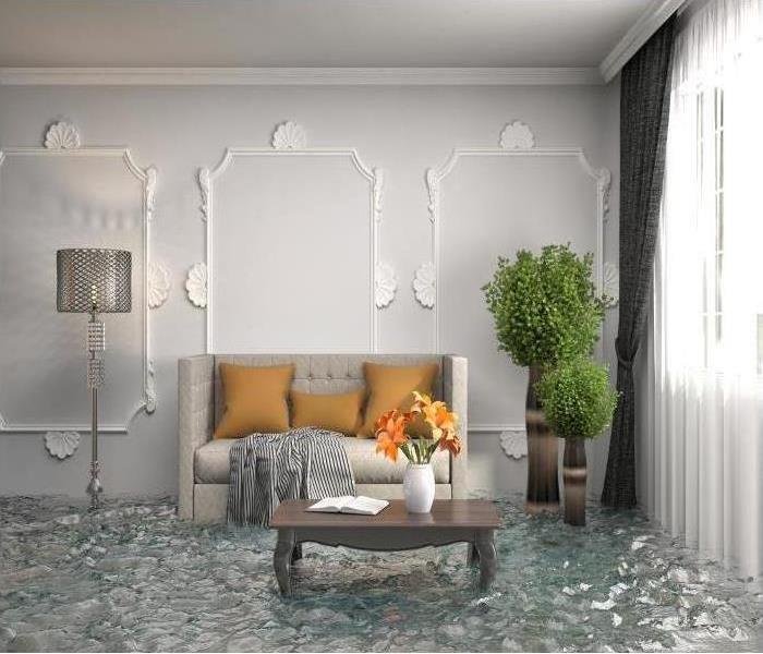 living room with standing water