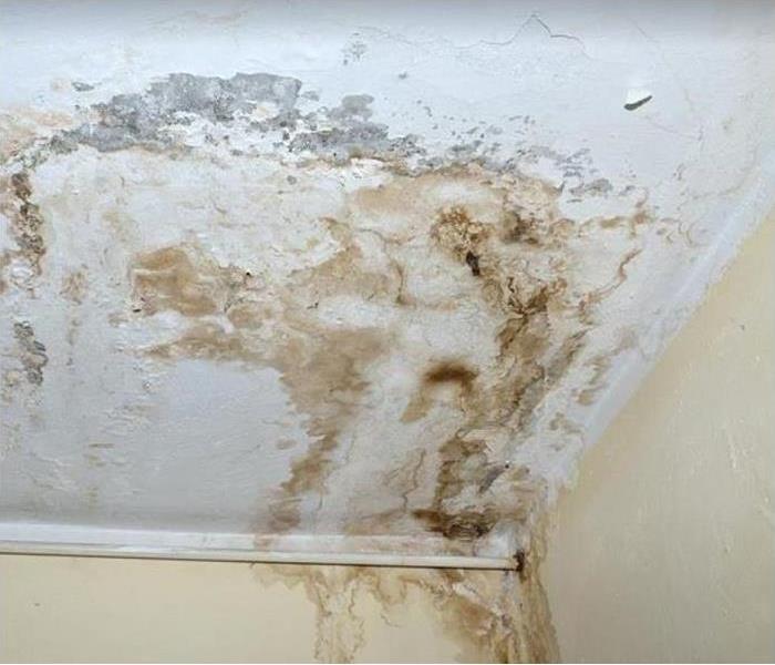 water stains on wall and ceiling